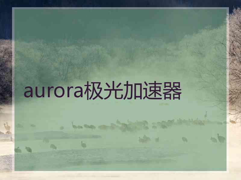 aurora极光加速器