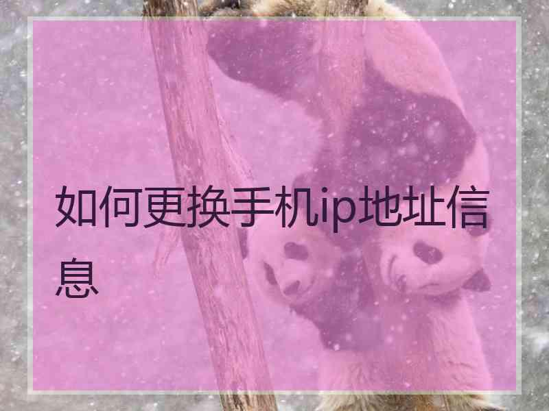 如何更换手机ip地址信息