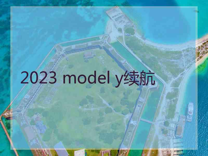 2023 model y续航