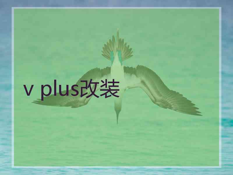 v plus改装