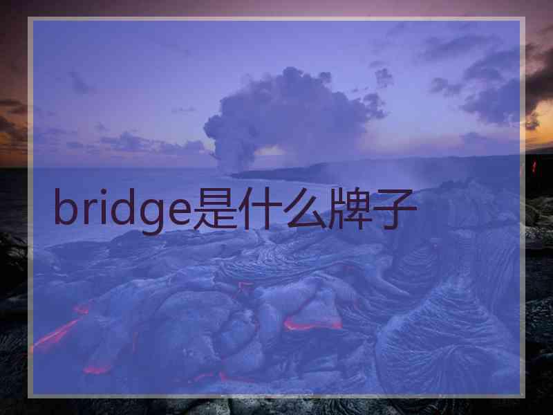 bridge是什么牌子