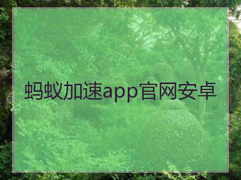 蚂蚁加速app官网安卓