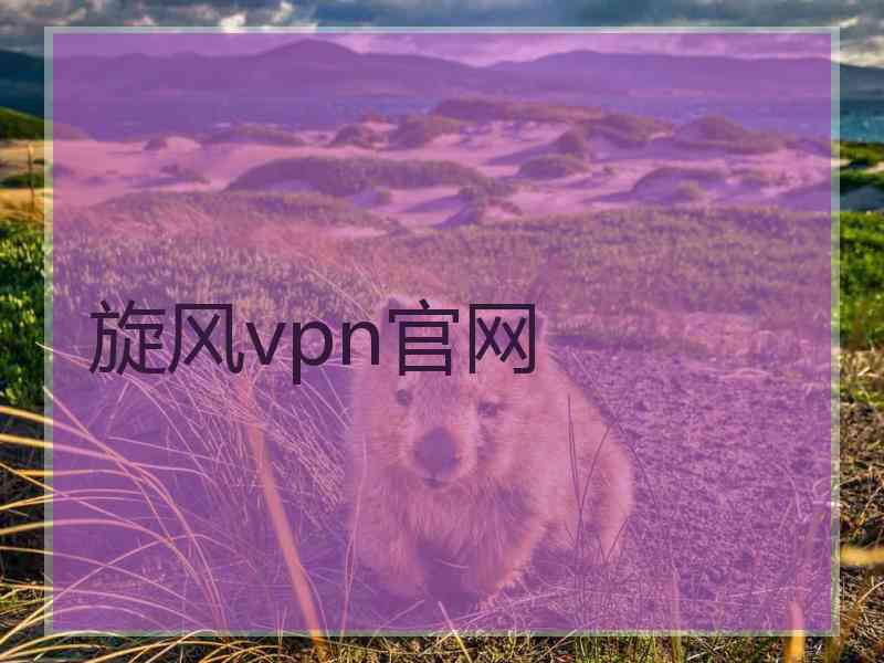 旋风vpn官网