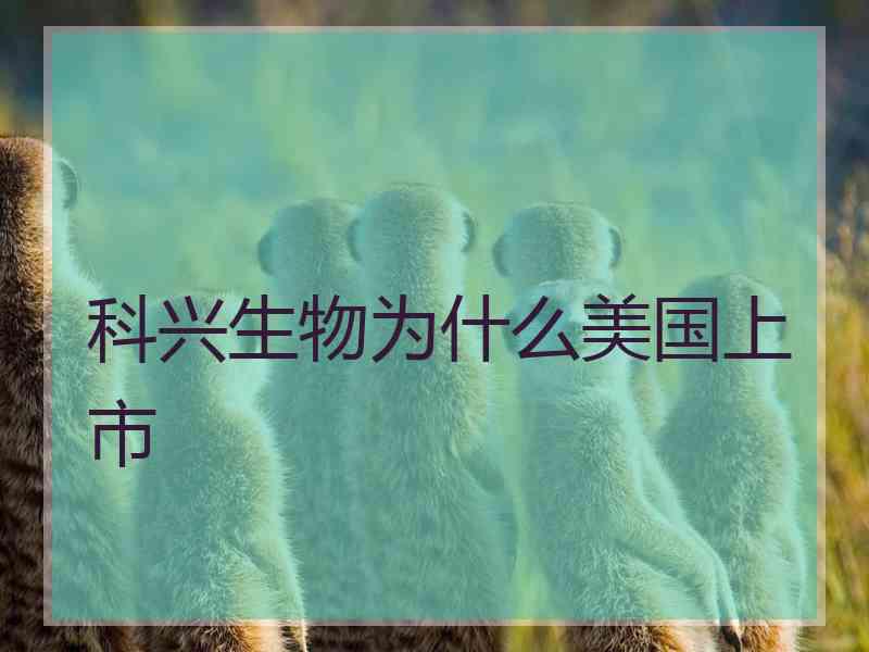 科兴生物为什么美国上市