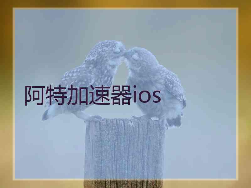 阿特加速器ios