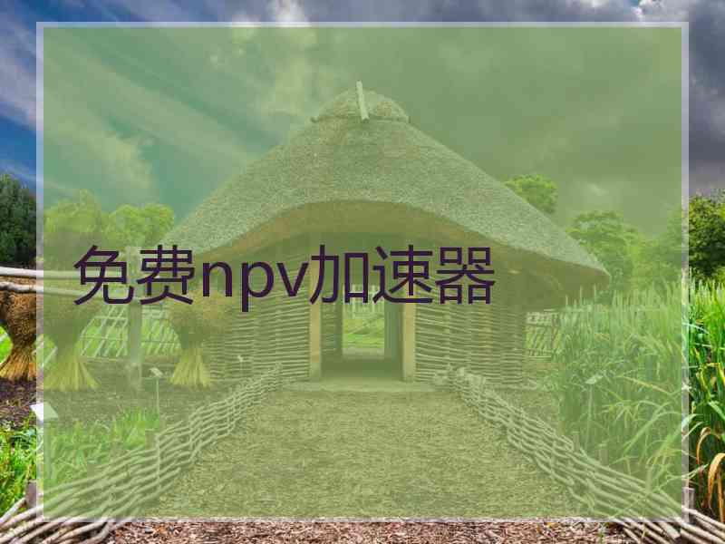 免费npv加速器