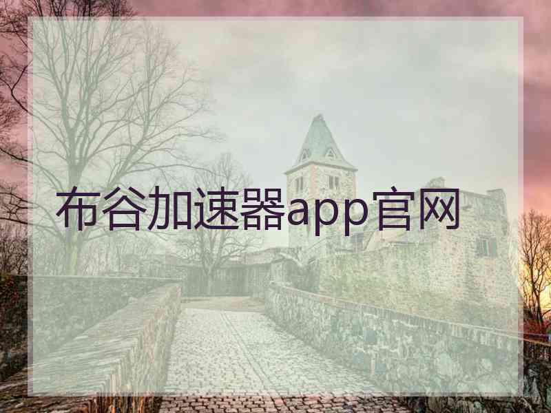 布谷加速器app官网