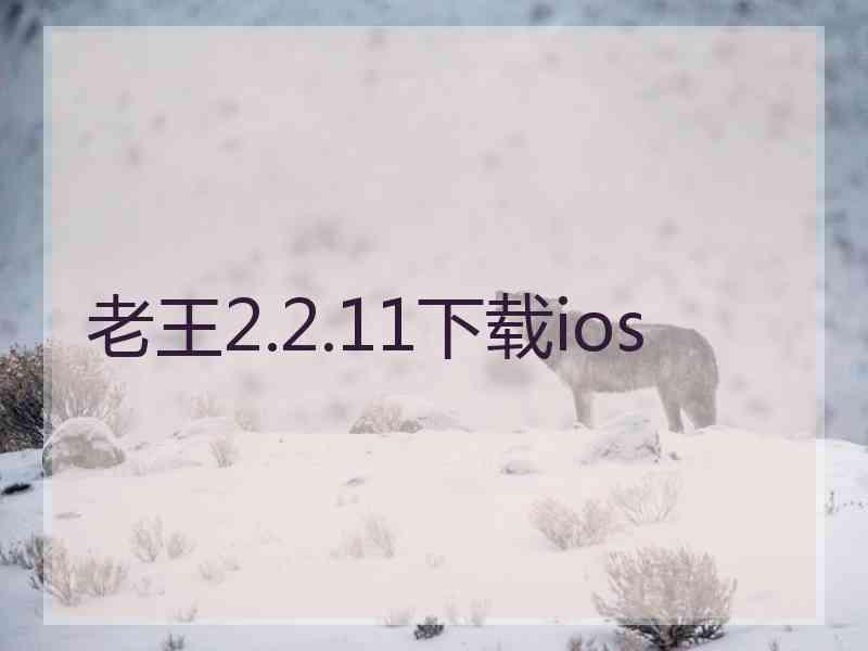 老王2.2.11下载ios