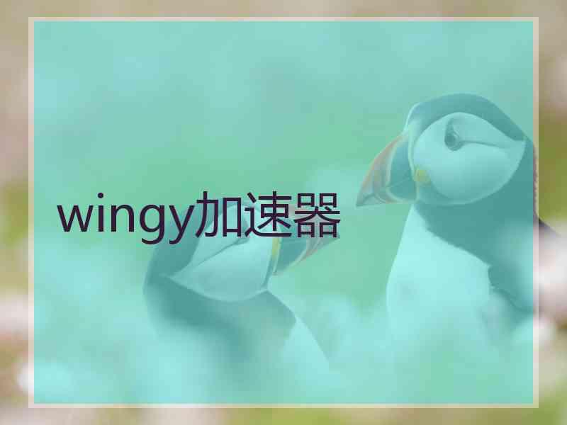 wingy加速器