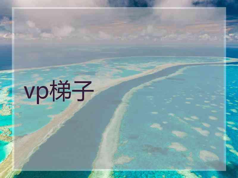 vp梯子