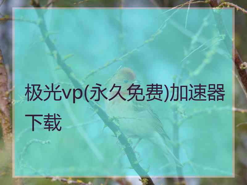 极光vp(永久免费)加速器下载