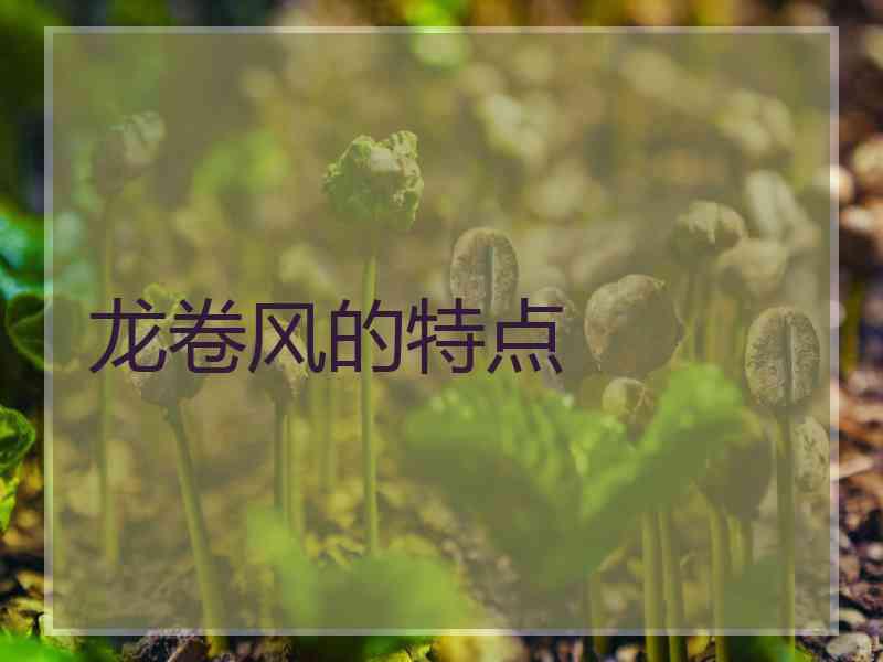 龙卷风的特点