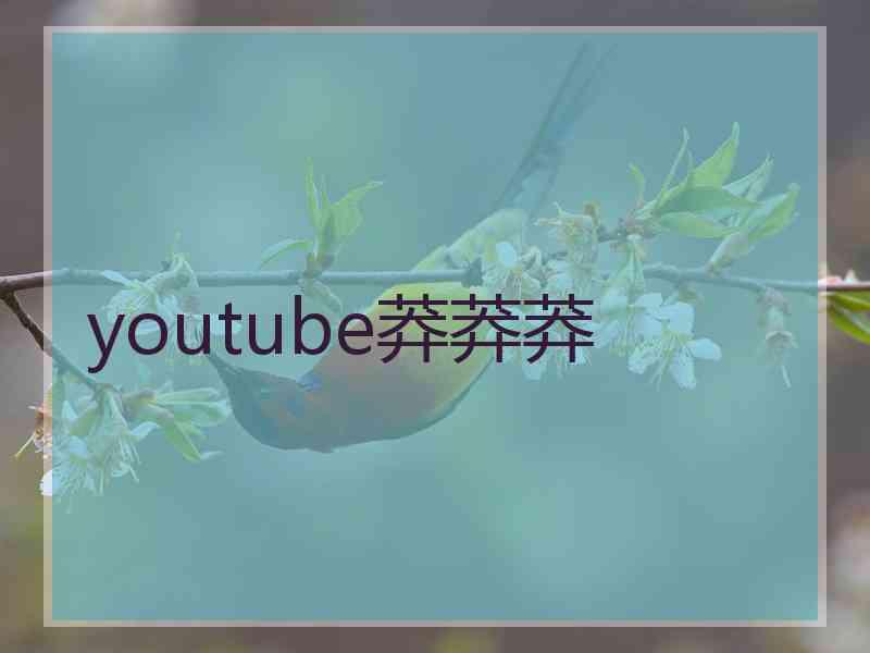 youtube莽莽莽