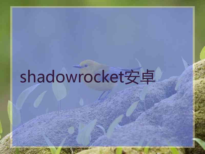 shadowrocket安卓