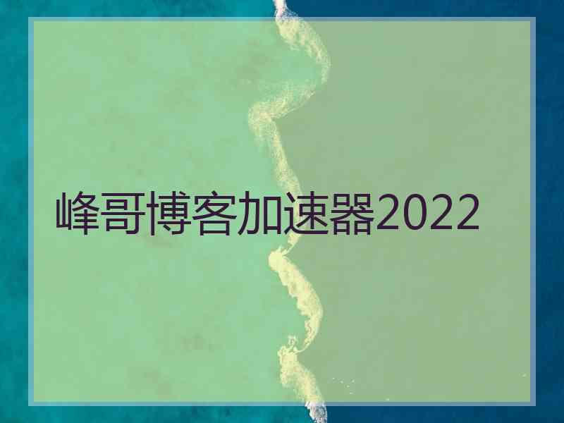 峰哥博客加速器2022