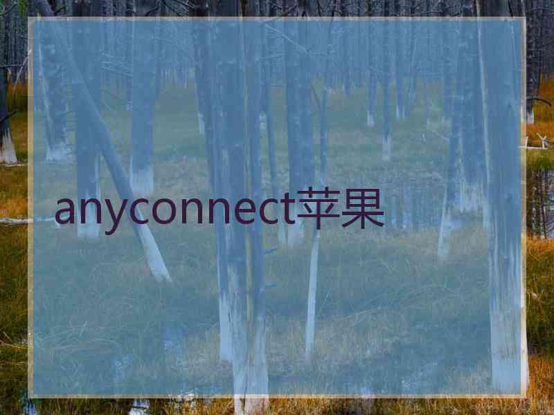 anyconnect苹果