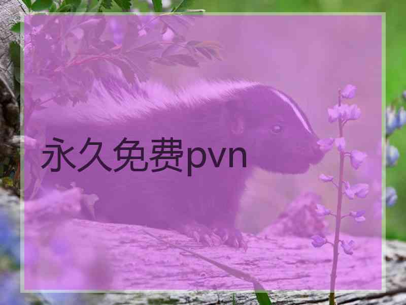 永久免费pvn