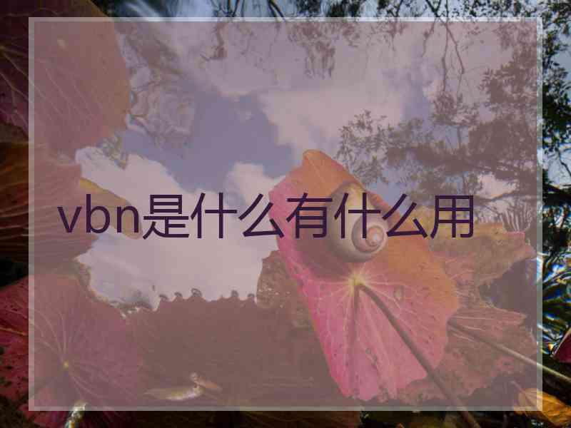 vbn是什么有什么用