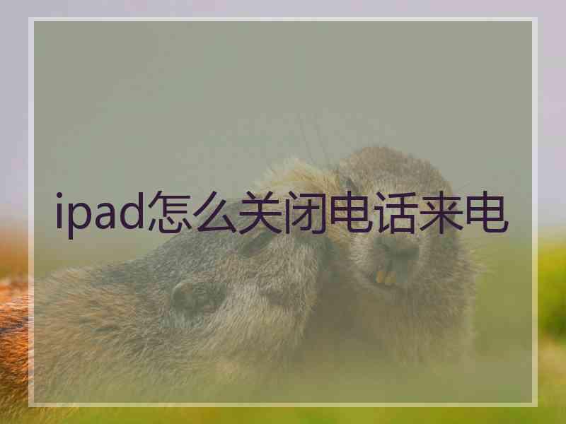 ipad怎么关闭电话来电