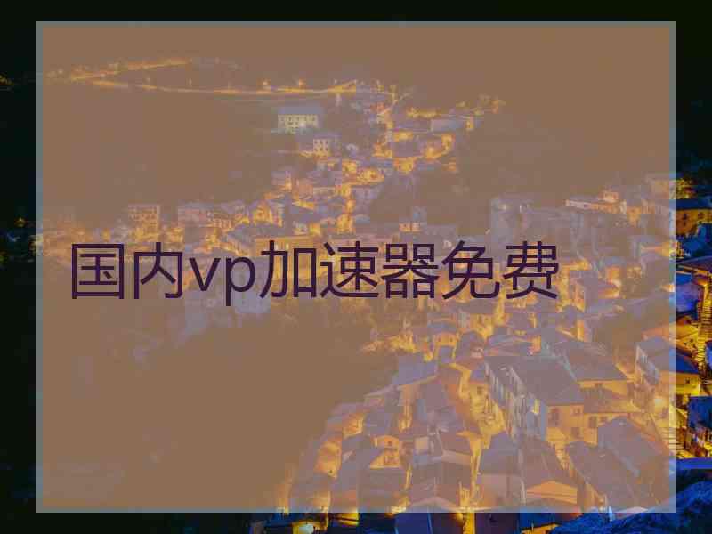 国内vp加速器免费