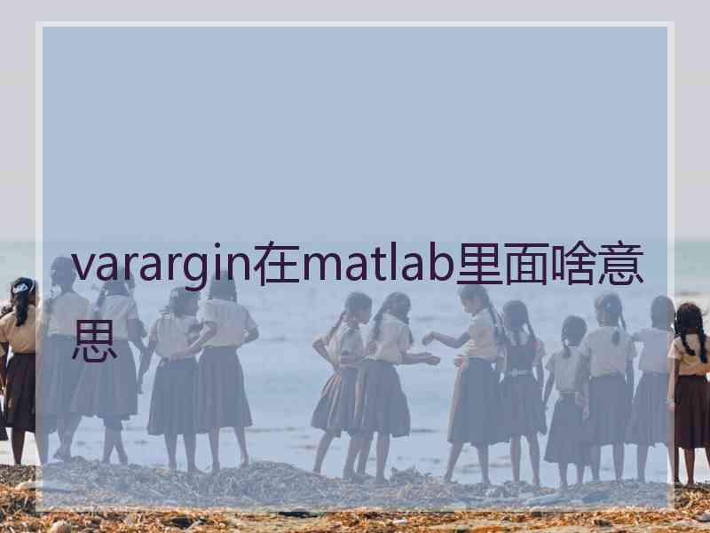 varargin在matlab里面啥意思