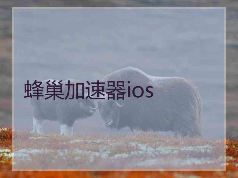 蜂巢加速器ios