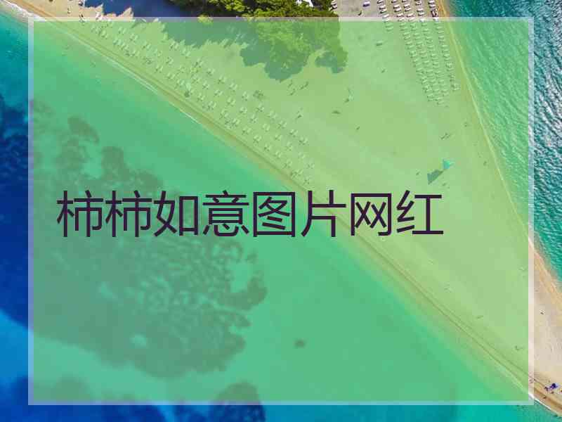 柿柿如意图片网红