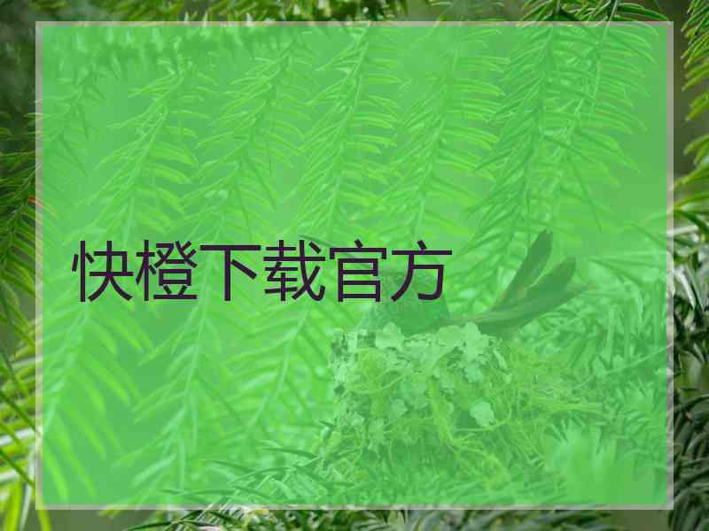 快橙下载官方