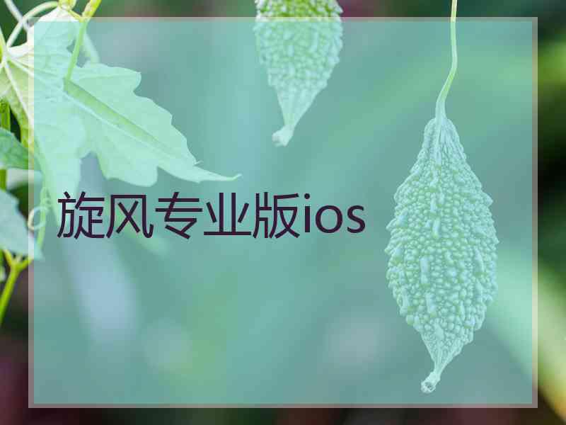 旋风专业版ios