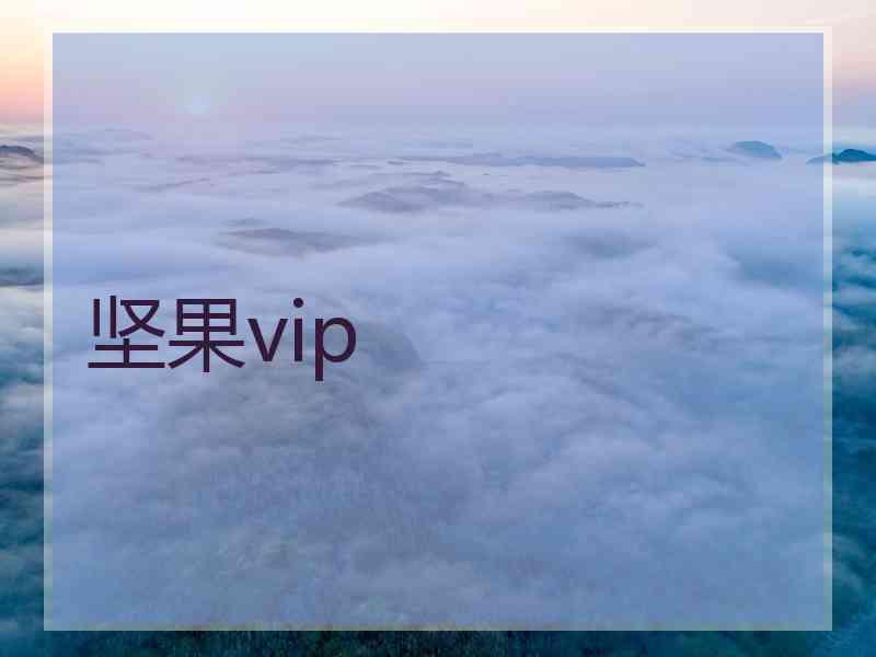 坚果vip