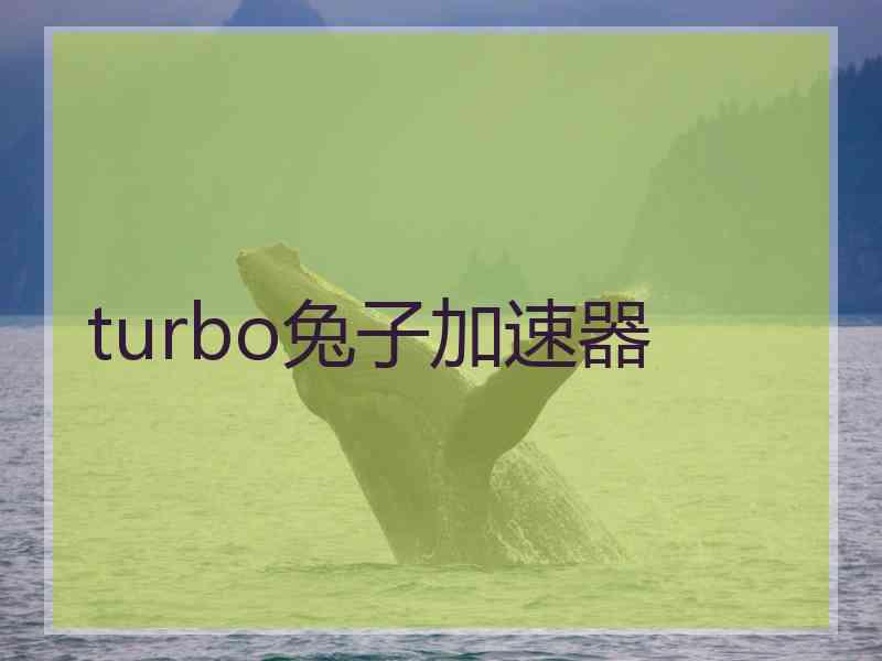 turbo兔子加速器