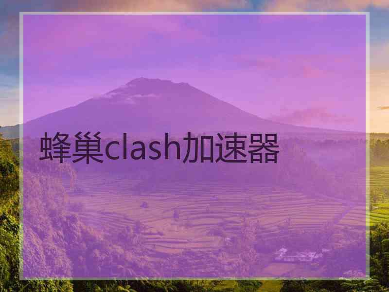 蜂巢clash加速器