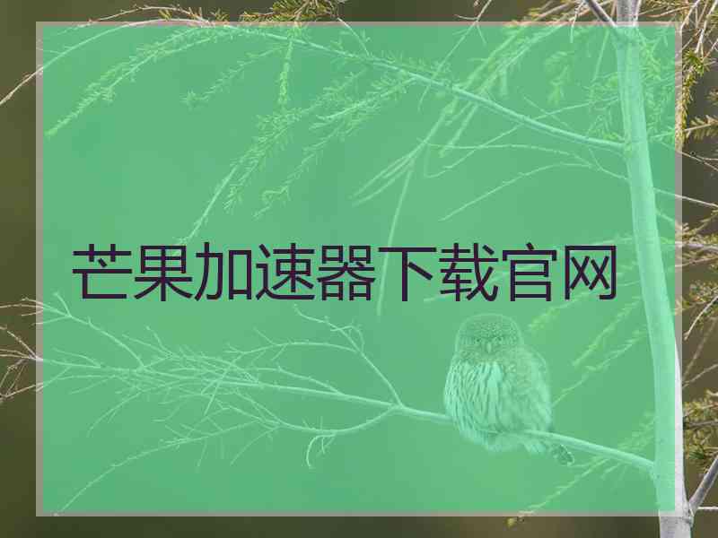 芒果加速器下载官网