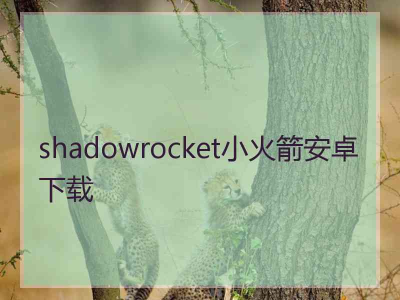 shadowrocket小火箭安卓下载