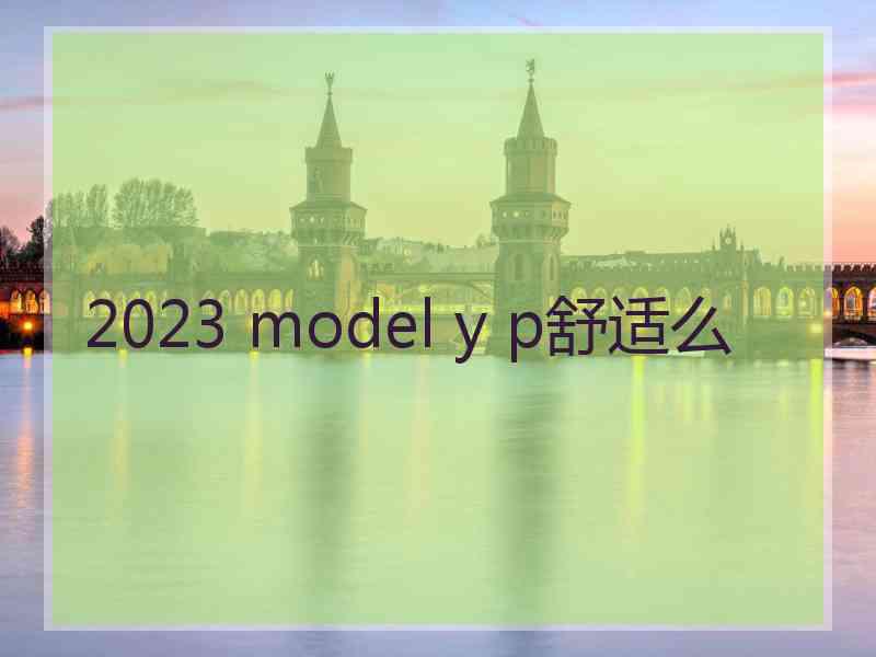 2023 model y p舒适么