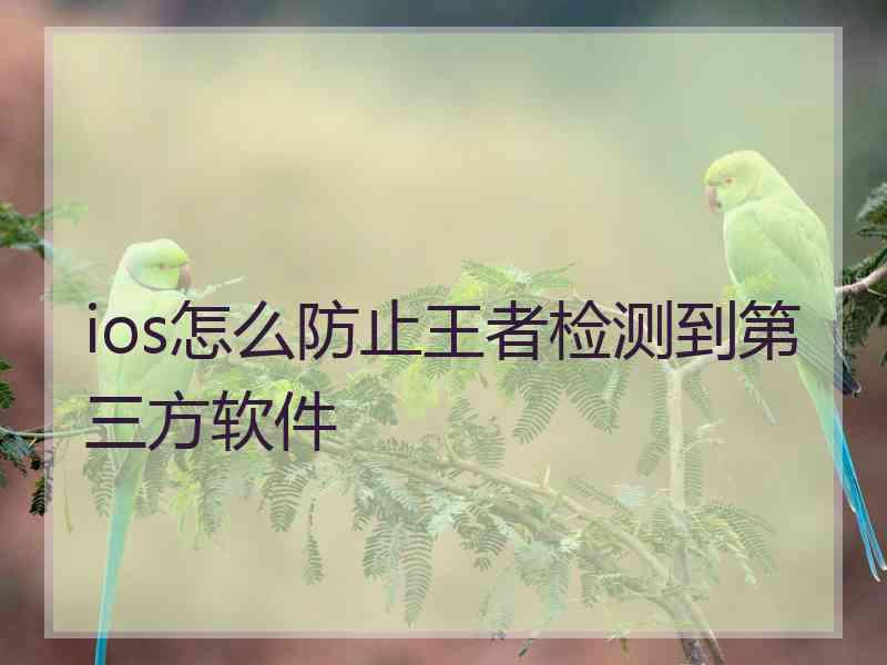 ios怎么防止王者检测到第三方软件