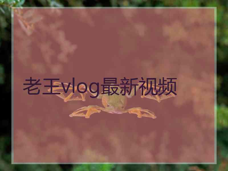 老王vlog最新视频