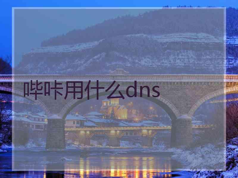 哔咔用什么dns