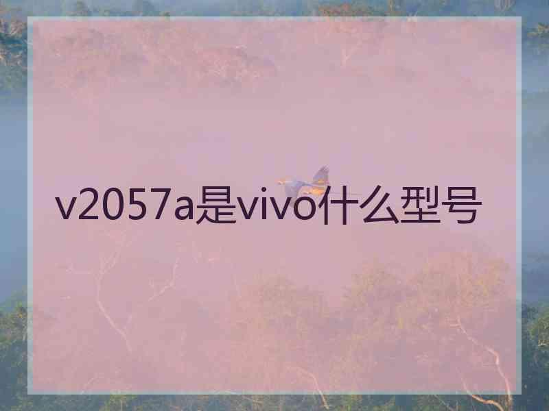 v2057a是vivo什么型号