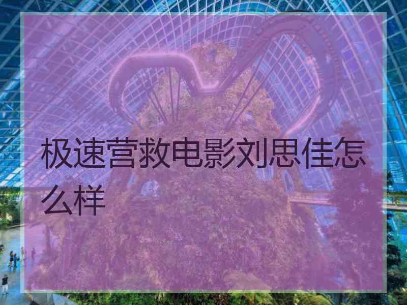 极速营救电影刘思佳怎么样