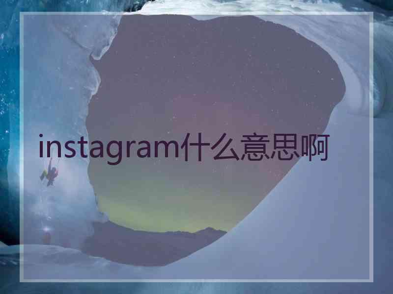 instagram什么意思啊