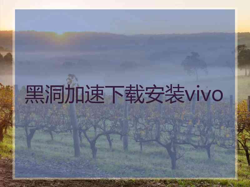 黑洞加速下载安装vivo