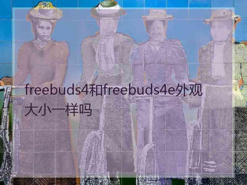 freebuds4和freebuds4e外观大小一样吗