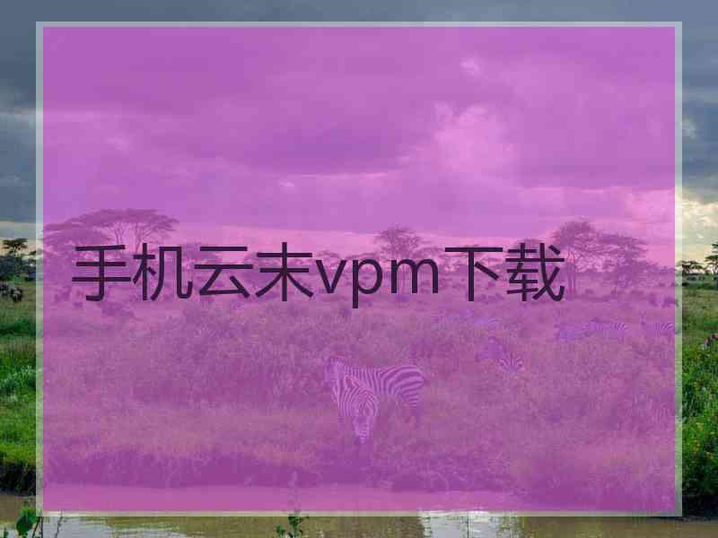 手机云末vpm下载