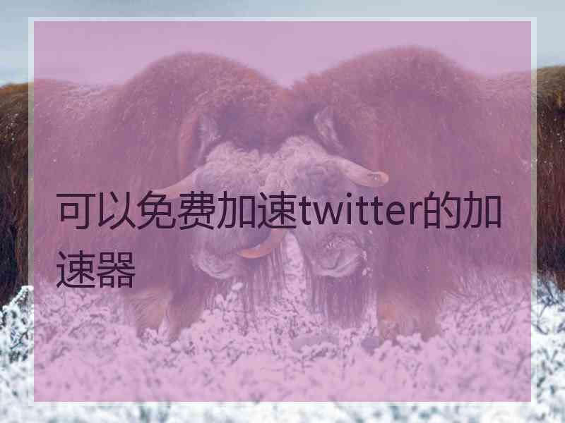 可以免费加速twitter的加速器