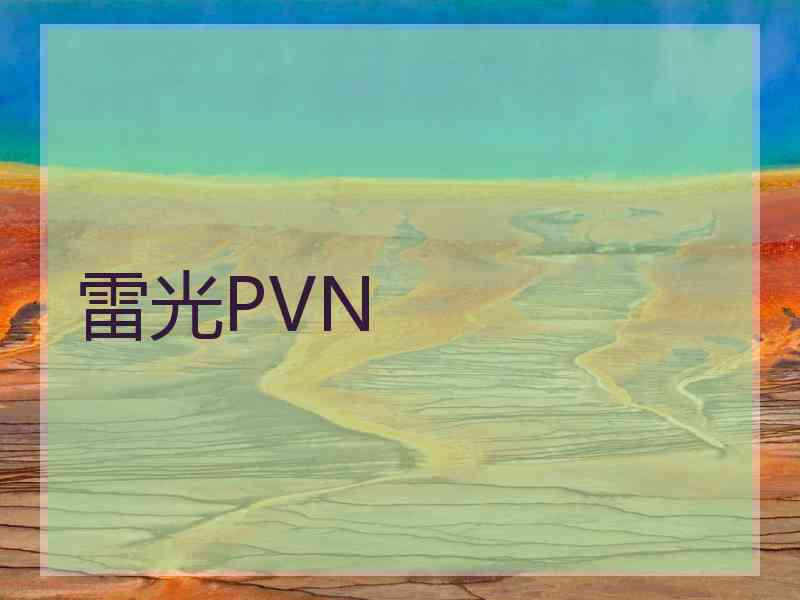 雷光PVN