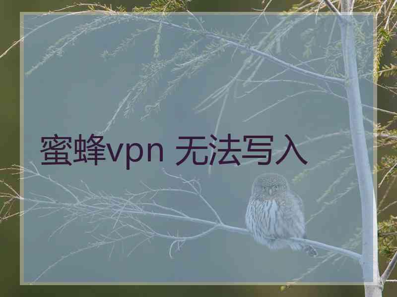 蜜蜂vpn 无法写入