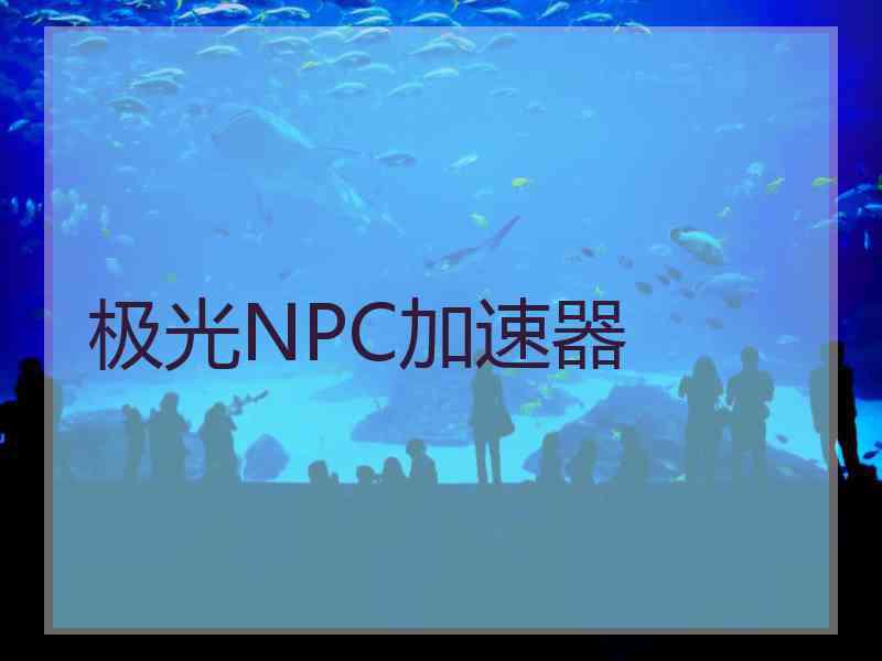 极光NPC加速器