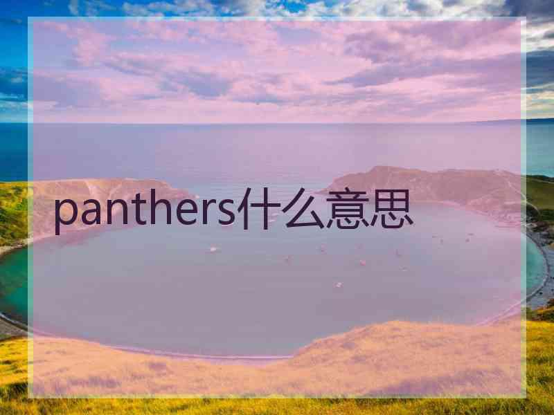 panthers什么意思