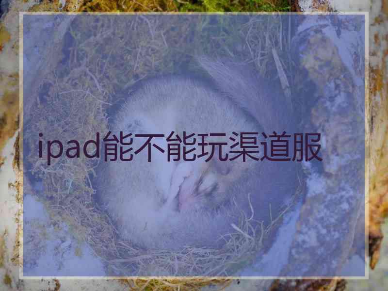 ipad能不能玩渠道服